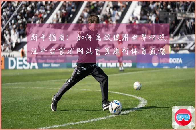 新手指南：如何高效使用世界杯投注平台官方网站首页进行体育直播与信息获取