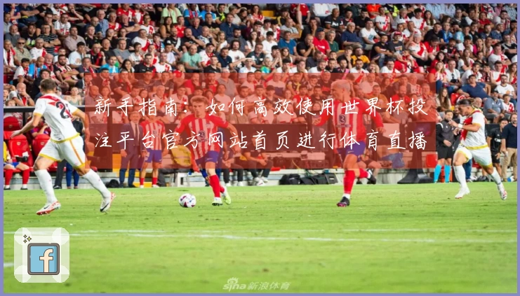 新手指南：如何高效使用世界杯投注平台官方网站首页进行体育直播与信息获取
