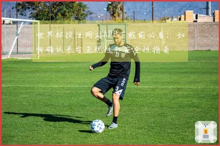 世界杯投注网站APP下载前必看：如何确认平台正规性和安全性指南