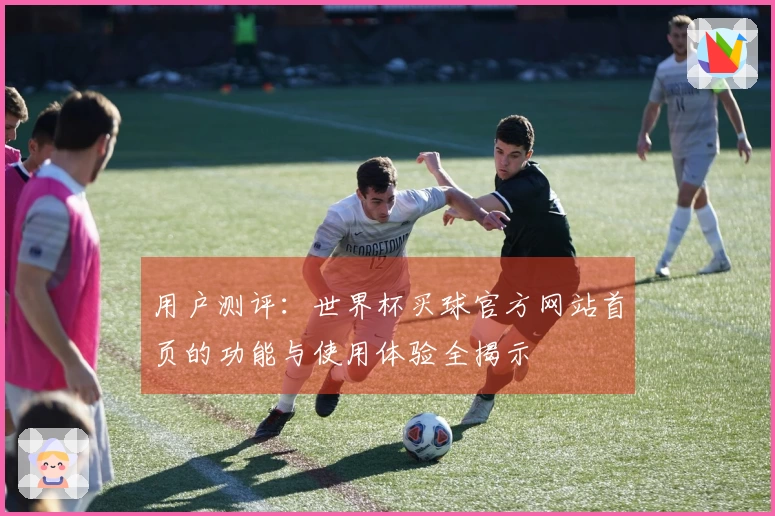 用户测评：世界杯买球官方网站首页的功能与使用体验全揭示