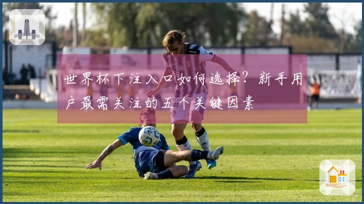 世界杯下注入口如何选择？新手用户最需关注的五个关键因素