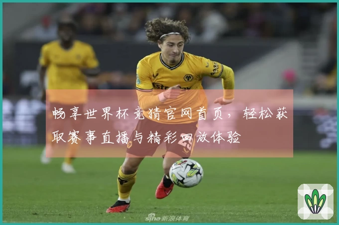 畅享世界杯竞猜官网首页，轻松获取赛事直播与精彩回放体验