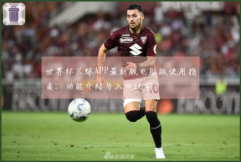 世界杯买球APP最新版电脑版使用指南：功能介绍与入口说明