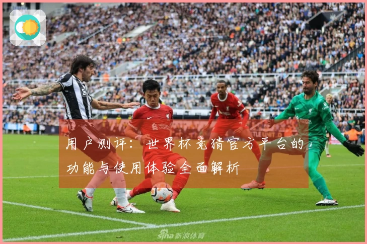 用户测评：世界杯竞猜官方平台的功能与使用体验全面解析
