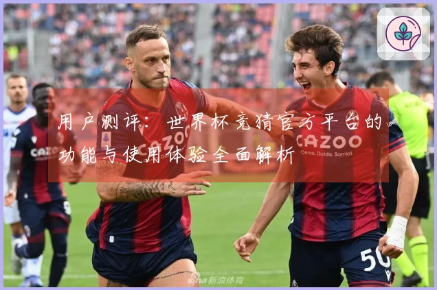 用户测评：世界杯竞猜官方平台的功能与使用体验全面解析