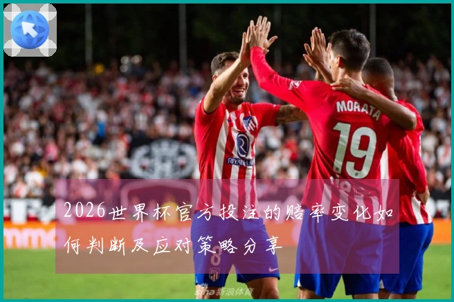 2026世界杯官方投注的赔率变化如何判断及应对策略分享