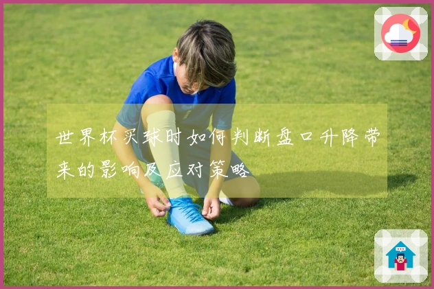 世界杯买球时如何判断盘口升降带来的影响及应对策略