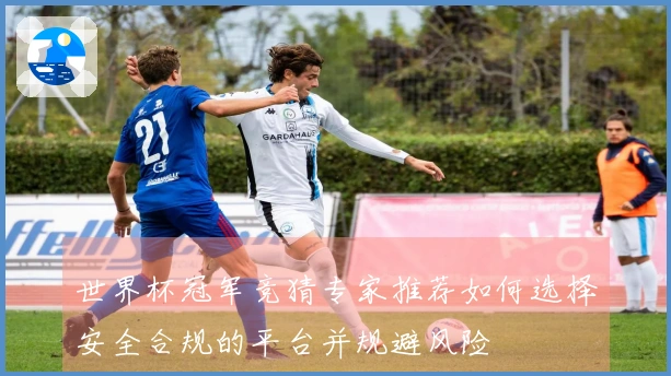 世界杯冠军竞猜专家推荐如何选择安全合规的平台并规避风险