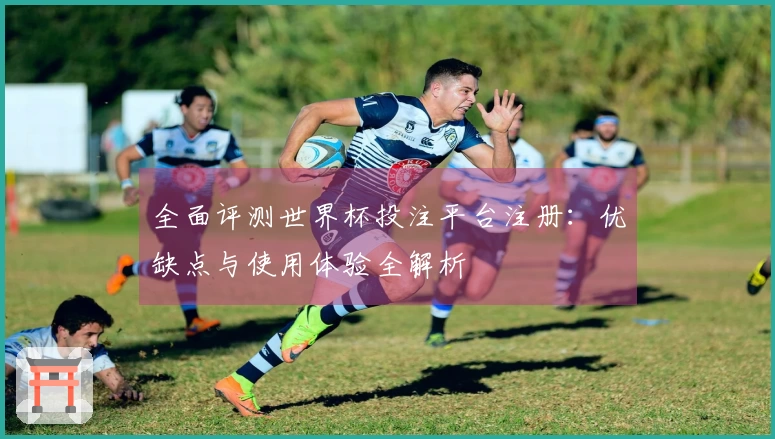 全面评测世界杯投注平台注册：优缺点与使用体验全解析