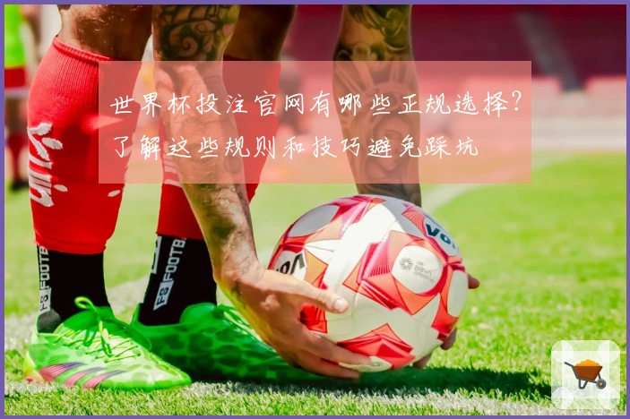 世界杯投注官网有哪些正规选择？了解这些规则和技巧避免踩坑