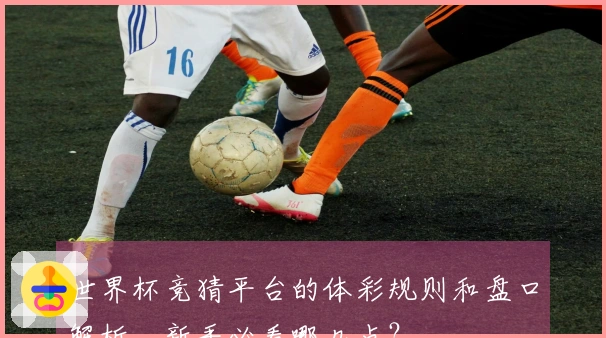 世界杯竞猜平台的体彩规则和盘口解析，新手必看哪几点？