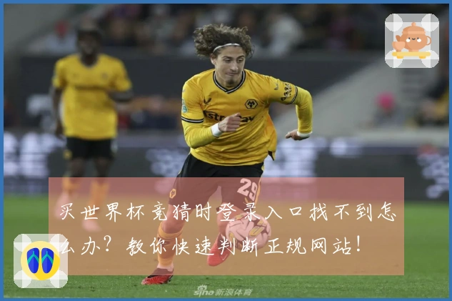 买世界杯竞猜时登录入口找不到怎么办？教你快速判断正规网站!